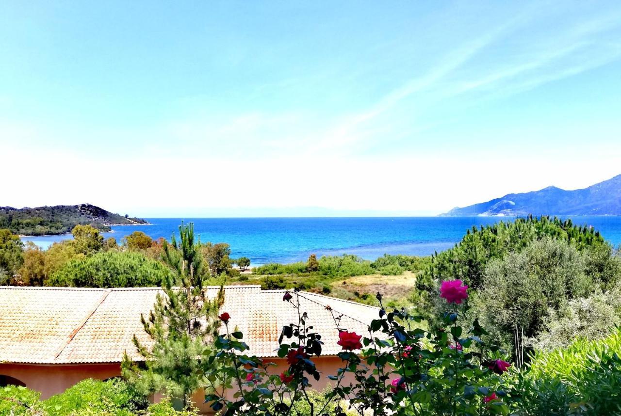 Residence Suarella Saint-Florent  Luaran gambar